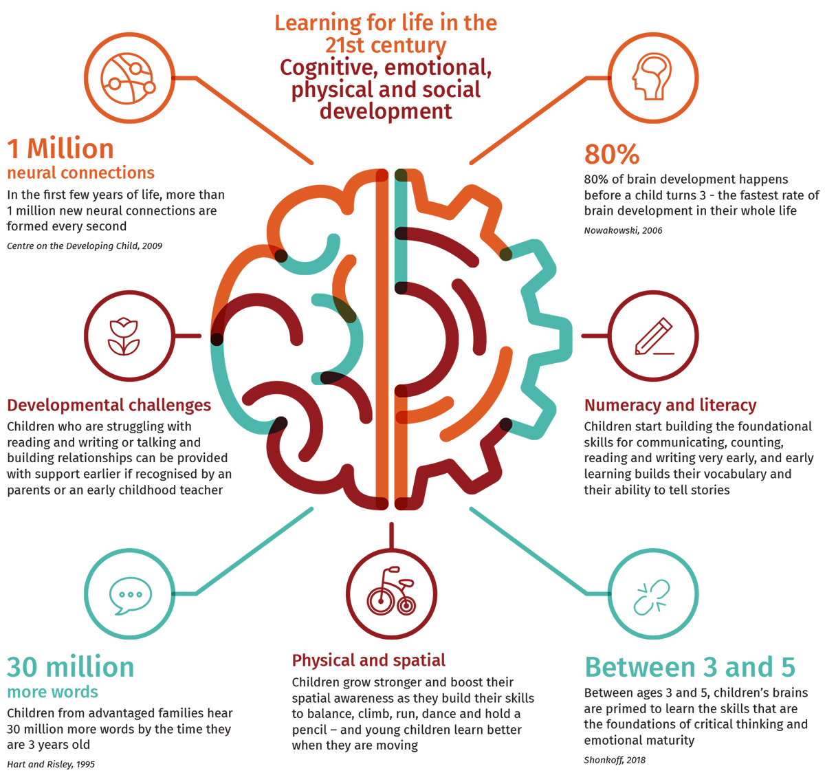 current scientific research relating to brain development in early years